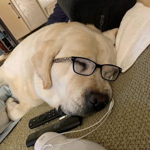 Meet your Posher, Rick